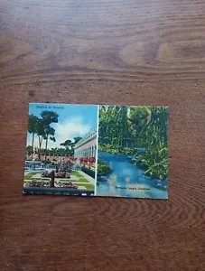 Postcard Ringling Art Museum Sarasota Jungle Gardens Split Scene Card - Picture 1 of 6