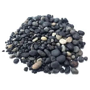 Dark Grey & Natural small pebbles for terrariums and craft projects 2-10MM 100g - Picture 1 of 8