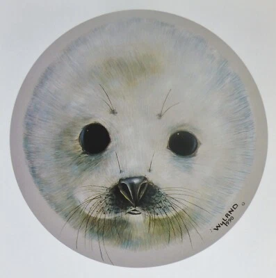 Wyland Studios Arctic Schnee Pup Neugeborenes Harfe Baby Seal Platte Signiert - Bild 1 von 4