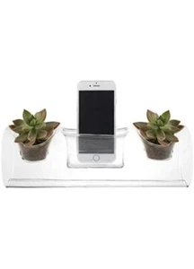 Syndicate Home & Garden Plant Amp 3.75" H x 4" W Glass Stylish Accent Planter - Picture 1 of 5