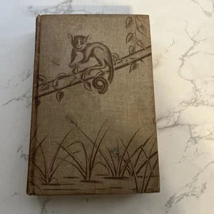 Animal Treasure by Ivan T. Sanderson (1937, Hardcover) - Picture 1 of 24