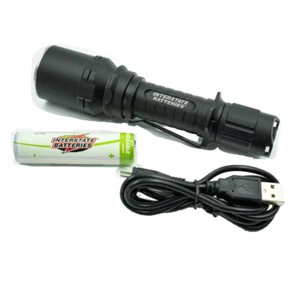 Interstate Batteries 1,000 Lumen Tactical Military Grade Rechargeable Flashlight - Picture 1 of 10