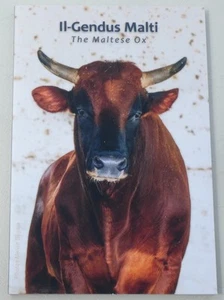2 Euro Gedenkmünze Malta 2025 Der maltesische Ochse im Folder st. - Bild 1 von 3