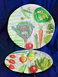 Michel Design Works Melamine VEGETABLE KINGDOM Serveware Round and Oval Trays - Picture 1 of 11
