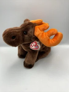 TY Beanie Buddy Chocolate Large Moose Plush With Tag In Plastic Protector - Picture 1 of 10