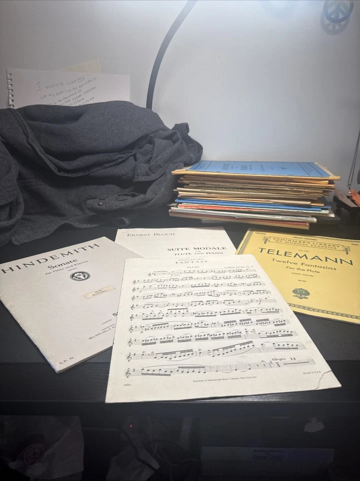 Gran lote de música de flauta - Fauré, Hindemith, Bloch, Andersen, Moyse, Cavally Foto 1 de 4