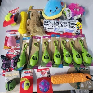19x Lot Plüsch Quietschendes Hundespielzeug und Zubehör - Kong und mehr - Bild 1 von 6