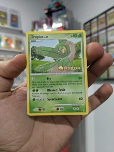 Pokemon Card 2009 TROPIUS Rare PRERELEASE Stamped Promo 52/111 Rising Rivals NM - Bild 1 von 6