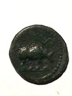 #A4543,Domitian, Rev Rhino,Sear 2834,Seldom Seen Roman Coin,