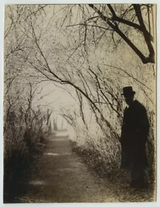Homme barbu au chapeau en silhouette sous des branches d'arbres formant tunnel. - Foto 1 di 1