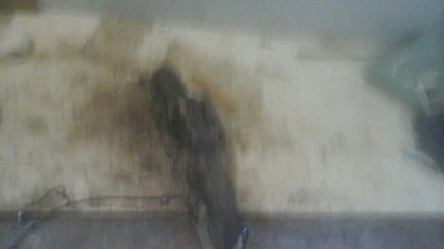 03 04 05 06 COLECTOR ESCAPE CONDUCTOR IZQUIERDO PORSCHE CAYENNE CON MOTOR TURBO Foto 1 de 4