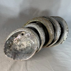 5 Large Abalone Shells Decor Healing Smudge Bowl Largest Approximately 9” - Picture 1 of 16