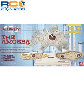 Atlantis Models Amoeba Single Cell Model Kit MINT Plastik Modellbausatz AANL3800 - Bild 1 von 1