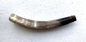 Singaa or Shringi Horn ethnic Musical Instrument made of natural Horn - Picture 1 of 10
