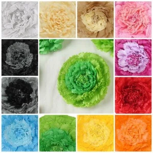 12 16 20 in Papel de tela claveles flores fondo de pared decoraciones de fiesta - Imagen 1 de 63