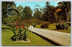 Singapore Botanic Gardens - Road through Flower Garden - Postcard - Picture 1 of 3