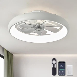 Ceiling Fans with Lights and Remote, 20'' Low Profile Flush Mount, 6 Wind Speeds - Picture 1 of 12