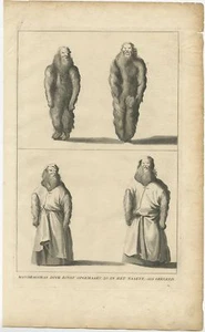Puerta de Mandrágoras Konst opgemaakt (..) - Anónimo (c.1725) - Imagen 1 de 1