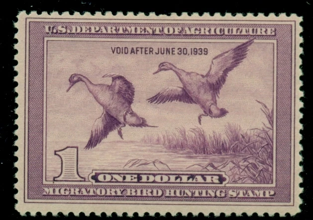 US #RW5  $1.00 Pintails, fresh og LH, tiny thin, VF centering, Scott $200.00 - Image 1 of 1