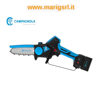 FURY XM Potatore con 2 batteria CAMPAGNOLA 14,4V con pompa olio barra 13cm - Immagine 1 di 3