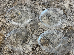 Made France 4 piatti in vetro Arcoroc a forma di pesce decorazione e adesivo costiera nautica - Foto 1 di 21