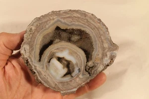 Unpolished Dugway Geode Half Utah - Picture 1 of 3