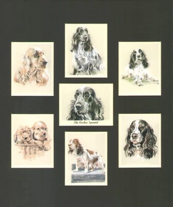 THE COCKER SPANIEL Der beste Freund des Mannes berittene Sammlerkarten passt 12x10" Rahmen - Bild 1 von 6