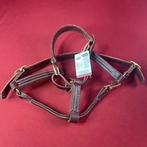 Weaver Equine 1" Bahn Pferdehalfter geöltes Leder (Canyon Rose) Neu mit Etikett! - Bild 1 von 4