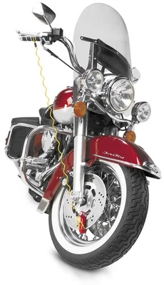 Bully Locks Disc Lock Reminder - REMINDER - Image 1 of 2