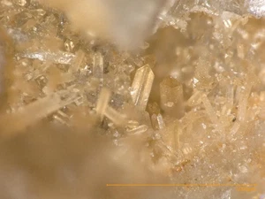 Childrenit - Hagendorf Süd, Oberpfalz, Deutschland - Bild 1 von 2