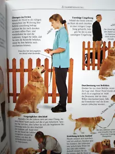 Hunde richtig Erziehen Schritt für Schritt von Dr. Bruce Fogle - Bild 1 von 19