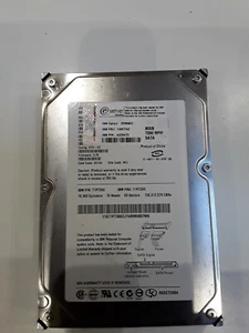 IBM 80 GB,Internal,7200 RPM,3.5" (71P7300) Hard Drive - Picture 1 of 1