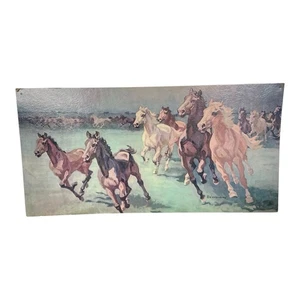 Authur Kaplan Benyovsky "Thundering Herd" Wild Horses Lithograph VTG 12x24 818 - Picture 1 of 12