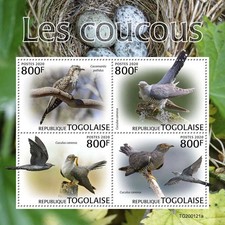 Togo Birds on Stamps 2020 MNH Cuckoos Cuckoo Bird 4v M/S