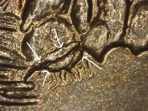 2008-p arizona extra cactus leaves quarter+error OUT OF US MINT ROLL"S #88 - Picture 1 of 5
