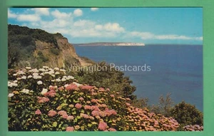 🌞LUCCOMBE CHINE, ISLE OF WIGHT😊BUY 2 GET 1 FREE - Bild 1 von 2