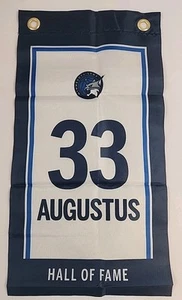 Seimone Augustus Hall of Fame Minnesota Lynx 9x17 WNBA Banner Flag Promo 6/14 - Picture 1 of 4
