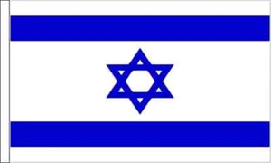 18" x 12" (45 x 30 cm) Israel Israeli Polyester Sleeved Hand Waving Boat Flag - Picture 1 of 1