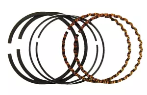 Set anelli pistone Z-10B per Champion modello REN10, REN-10 - LP Z-178B / HP Z-188B - Foto 1 di 2