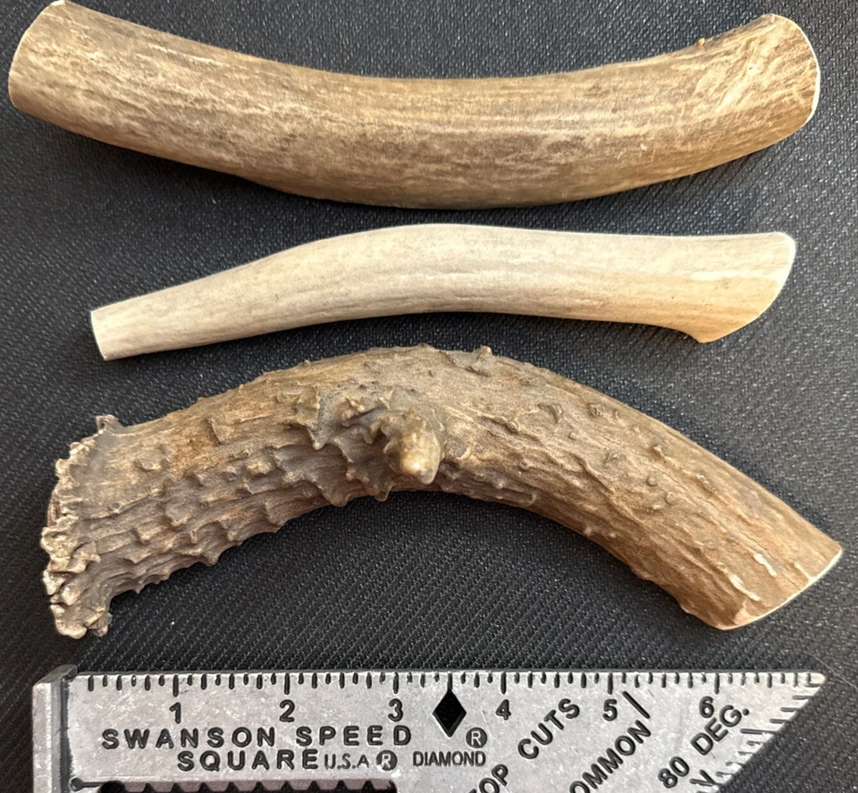 Elk Antler Chews For Dogs 3-Pack (each 6”) —Natural, Long lasting 39$ - Image 1 of 1