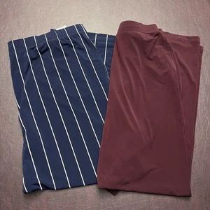 Susan Graver Pull On Stretch Pants X-Large Petite XLP 1X Blue Stripe Maroon - Picture 1 of 19