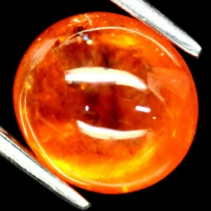SHOLA Echt 5,56 Ct Natürlicher Orange Spessartin / Mandarin Granat Top Farbe - Bild 1 von 2