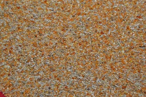 Graf Astrildenfutter 5Kg - Bild 1 von 1