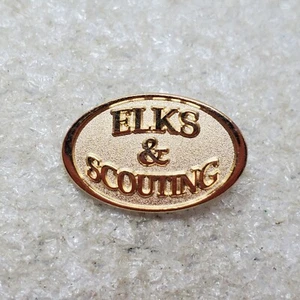 De colección BPOE Elks & Scouting Lodge BSA Boy Scouts of America Partners Solapa Prendedor Sombrero - Imagen 1 de 3