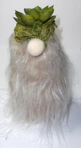 6.5” Alto PLANTA SEÑORA Beanbag Gnomo con Canas Sombrero Musgo Suculento Artificial - Imagen 1 de 7