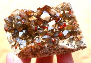 135,3g seltene natürliche leuchtend rote Granat und Feldspat Mineralproben/China - Bild 1 von 8