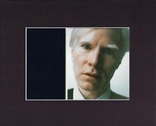 8X10" Matted Print Art Picture Andy Warhol: Warhol Self-Portrait Polaroid 1979