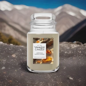 Yankee Candle Large Jar Candle- Amber & Sandalwood (22 oz) - Picture 1 of 1
