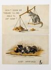 2 Vintage Antique Postcards Cats On Scale "Just Arrived" Sleeping Kittens Rug