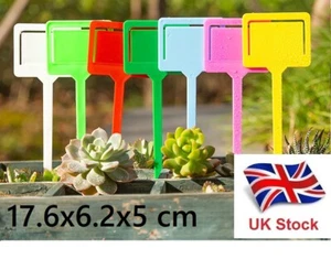 UK Lager 7 Zoll/17,6 cm farbiger Kunststoff T-Typ Pflanzenetikett Etiketten Gartentöpfe - Bild 1 von 7